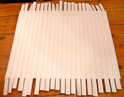 strips of paper